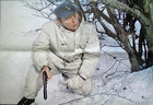 Where Eagles Dare