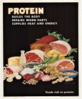 PROTEIN - Foods rich in protein