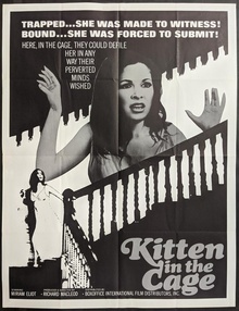 Kitten In The Cage