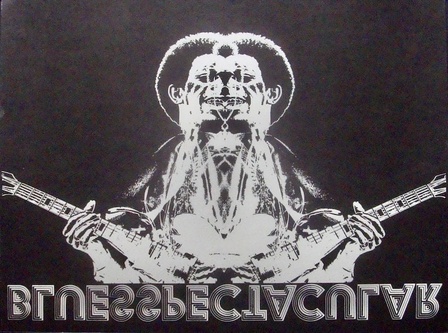 Blues Spectacular Festival: Miami 1973