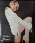 Blondie: Personality 1979