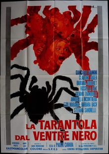 Black Belly Of The Tarantula