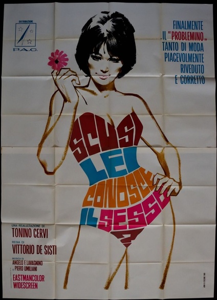 Excuse Me, Do You Like Sex?