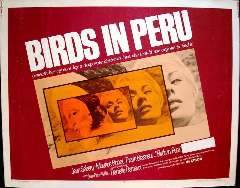 Birds In Peru
