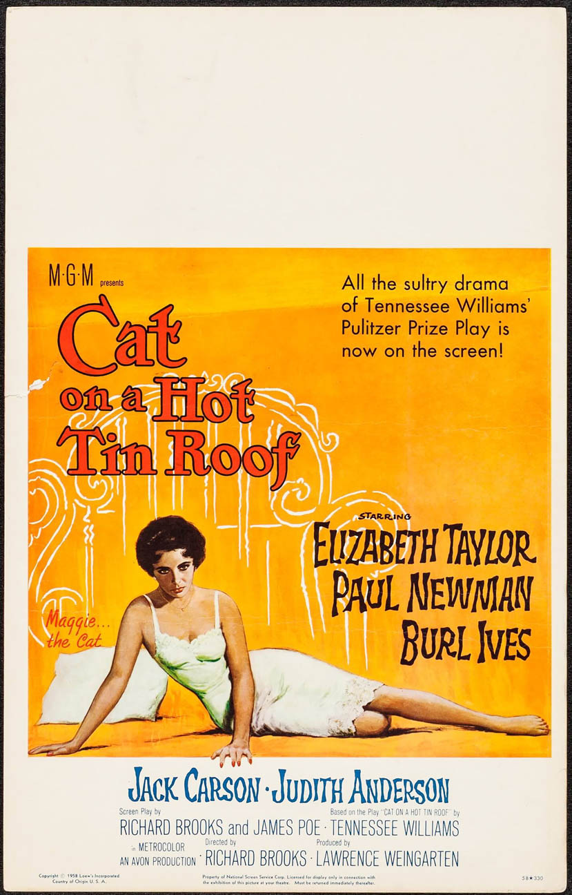 Cat On A Hot Tin Roof