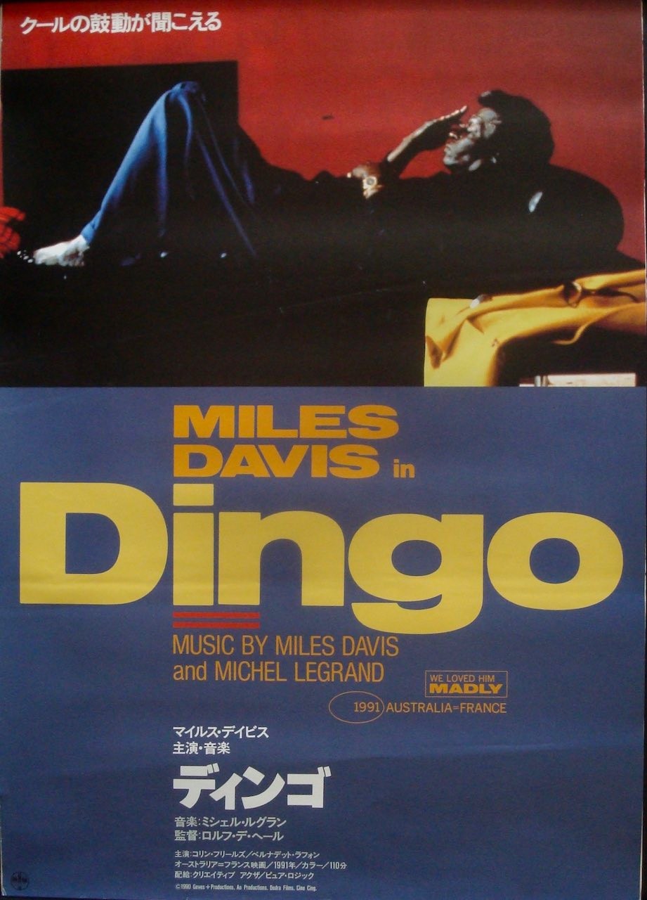 Dingo
