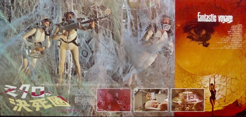 Fantastic Voyage
