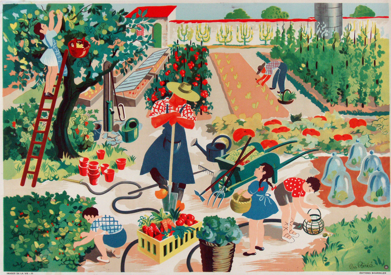 Images de La Vie - Vegetable Garden