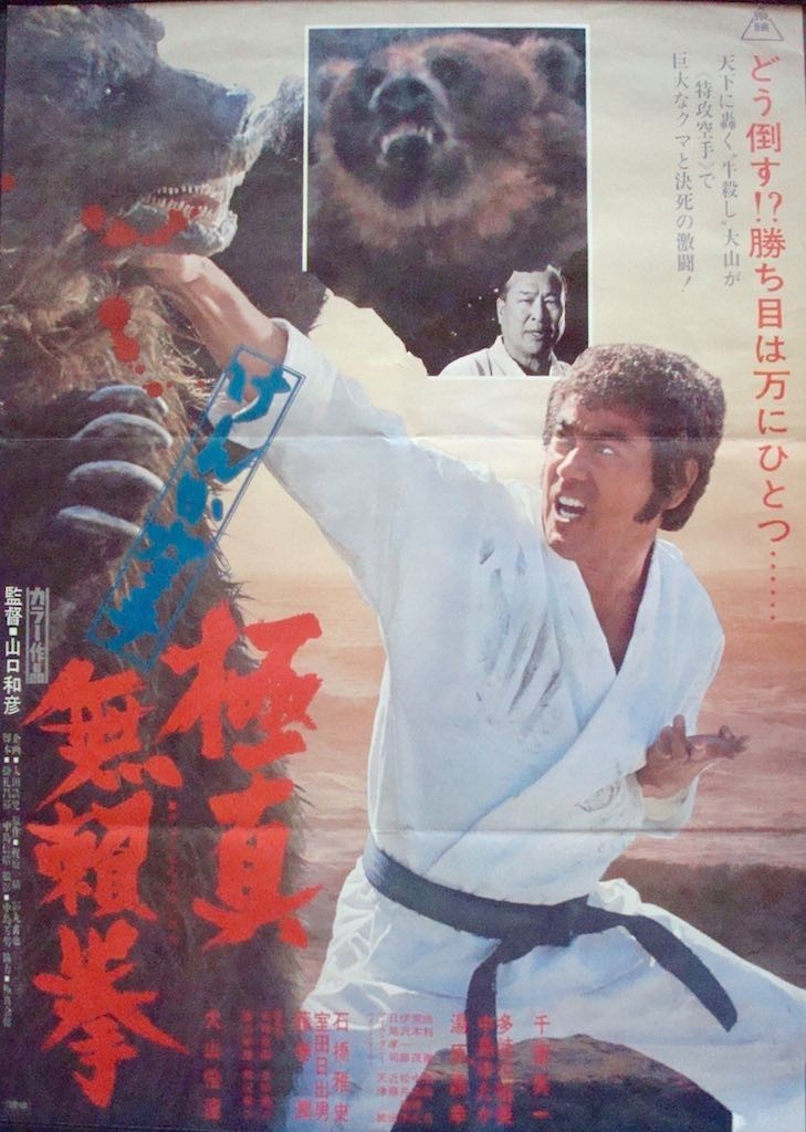 Karate Bear Fighter