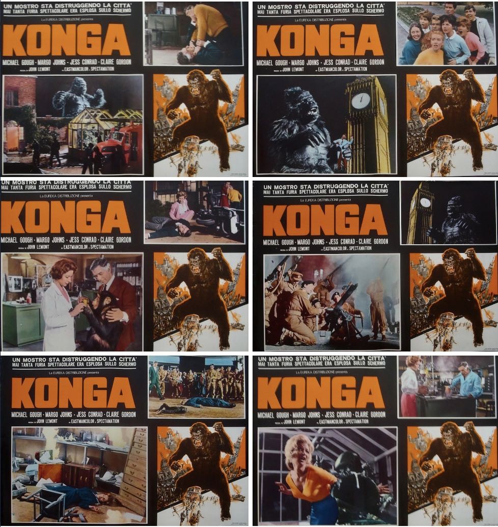 Konga