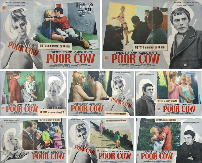 Poor Cow