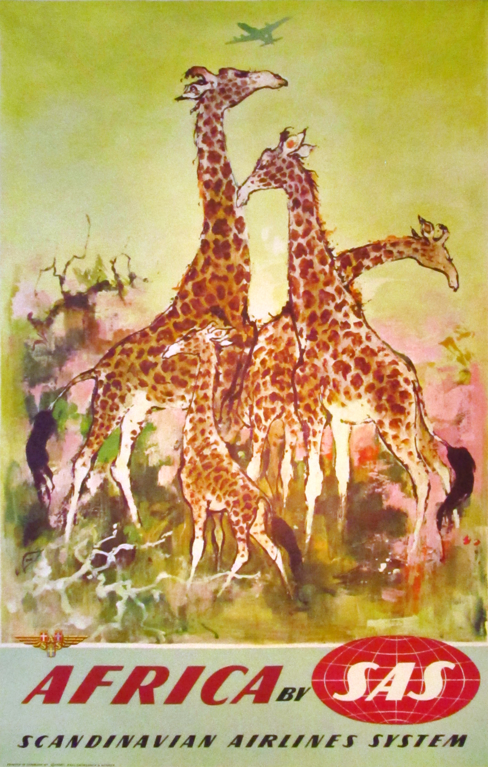 SAS - Africa Giraffes