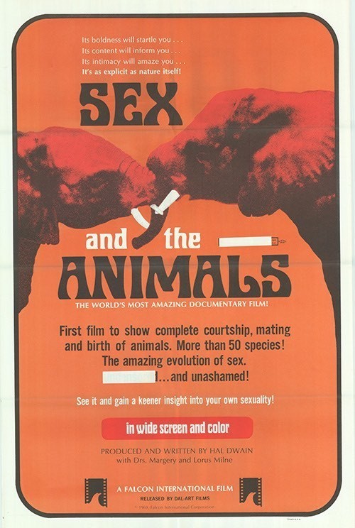 Sex and The Animals