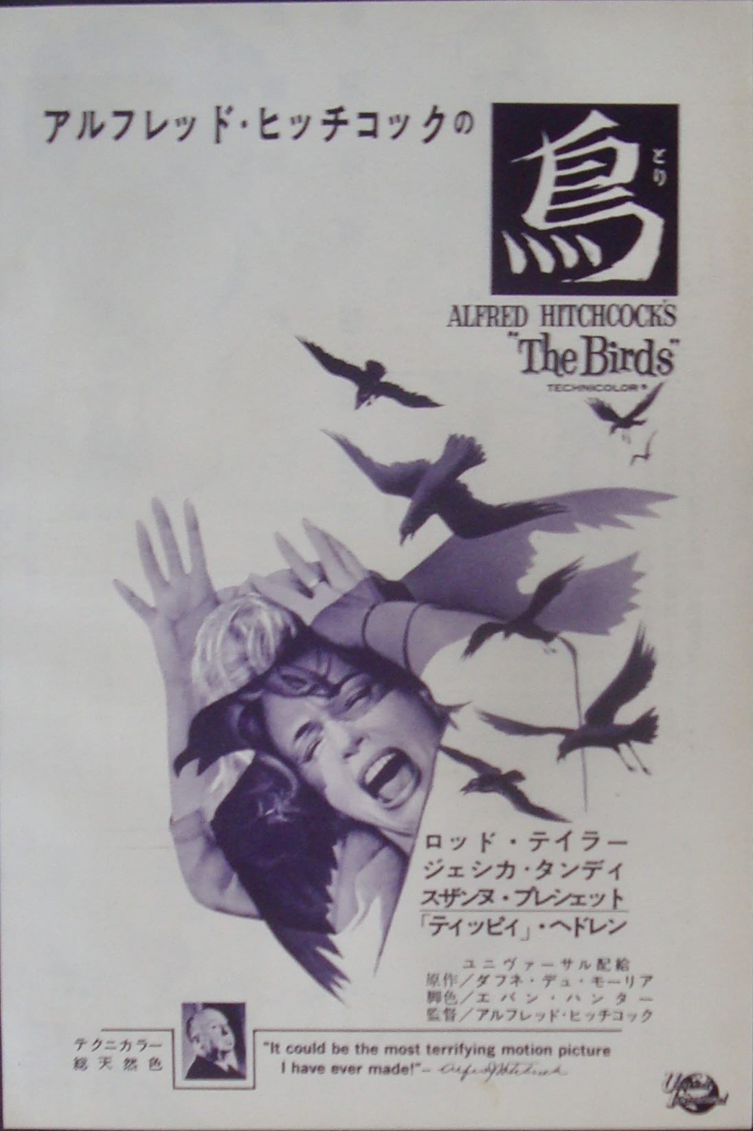The Birds