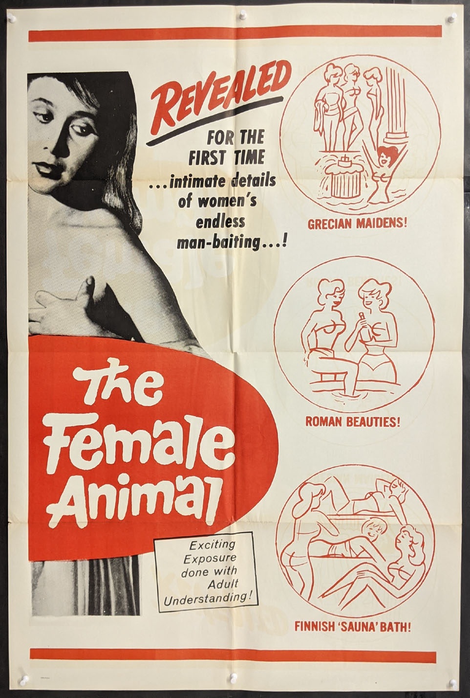The Female Animal
