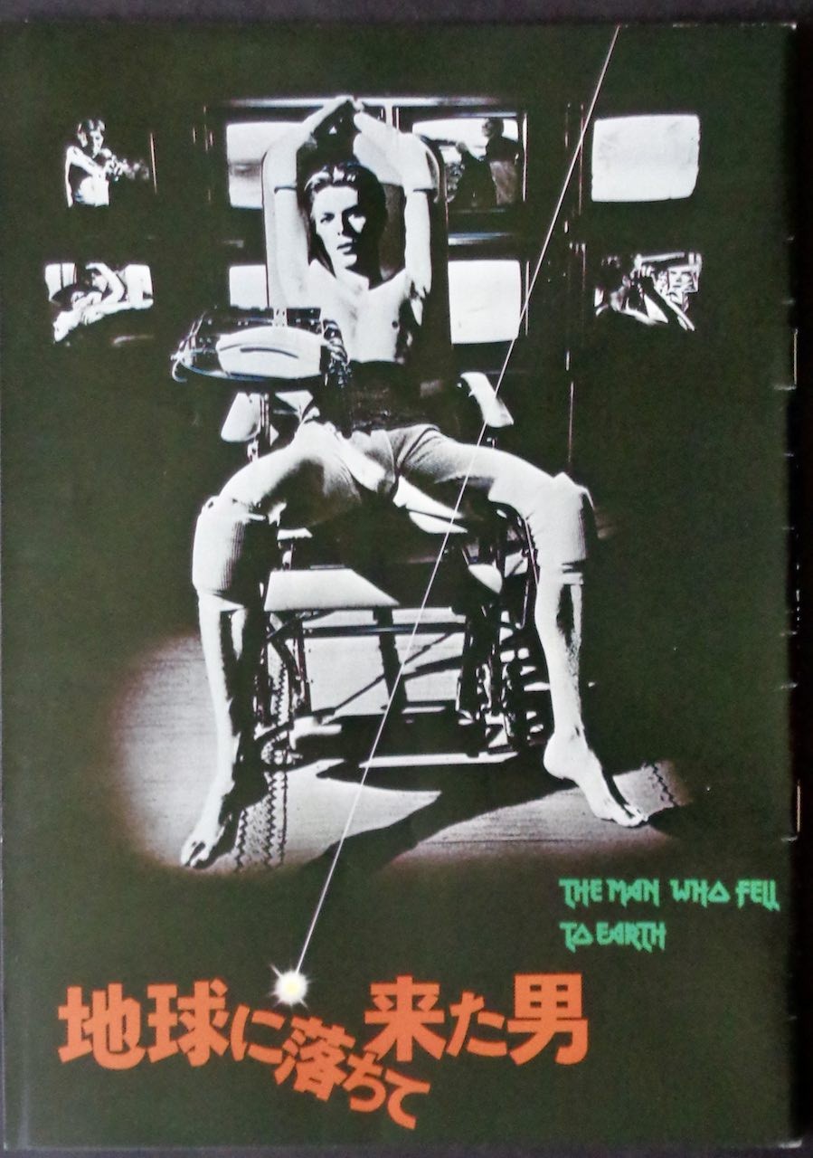 The Man Who Fell To Earth