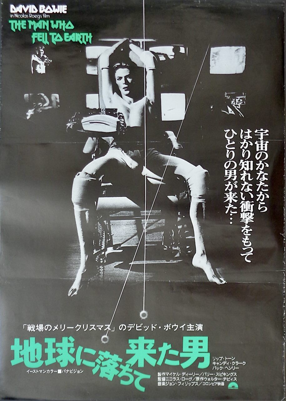 The Man Who Fell To Earth