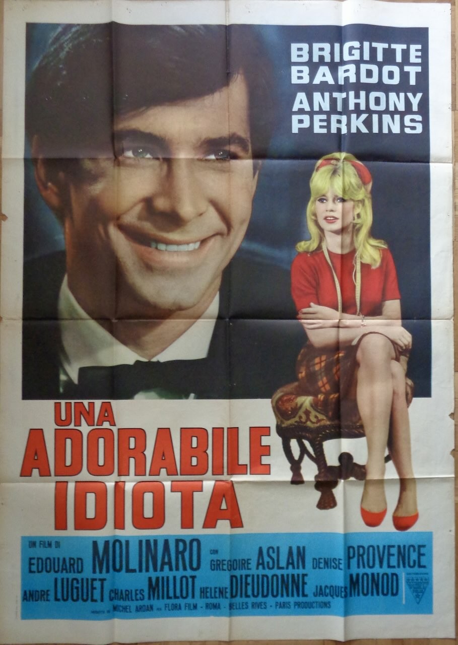 The Ravishing Idiot
